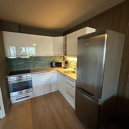 In Out With Sauna Hemsedal