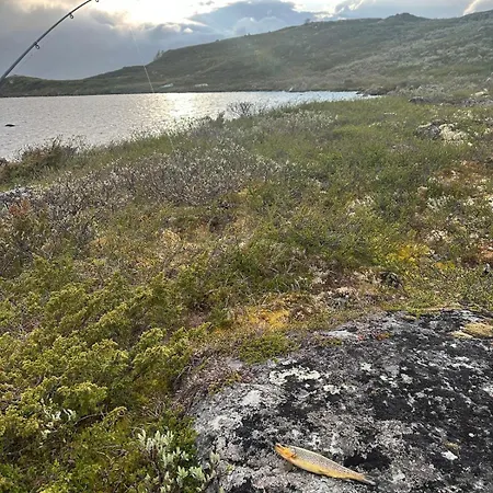 In Out With Sauna Daire Hemsedal